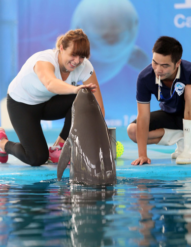 奥克兰城在 奥克兰城在