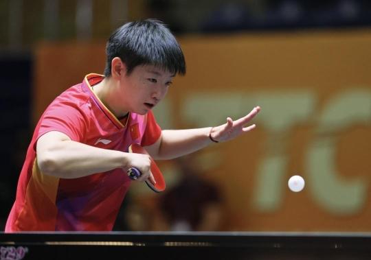 施罗德的活 施罗德的活